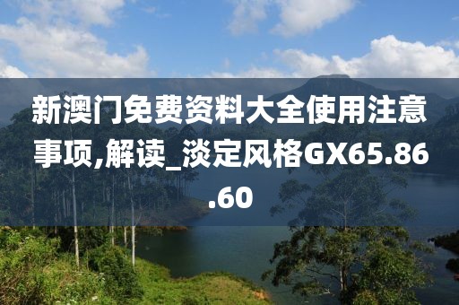 新澳门免费资料大全使用注意事项,解读_淡定风格GX65.86.60