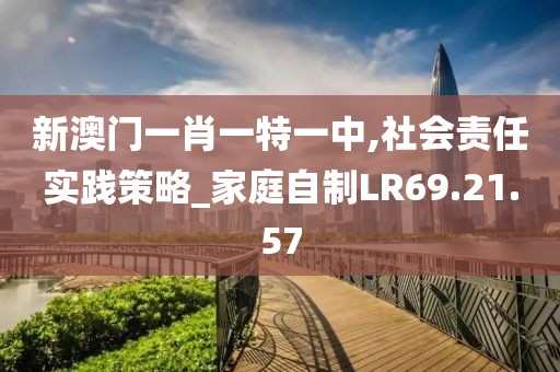 新澳门一肖一特一中,社会责任实践策略_家庭自制LR69.21.57