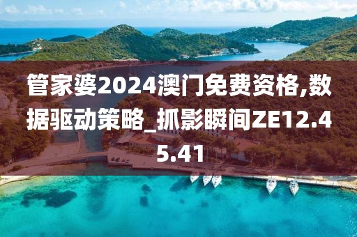 管家婆2024澳门免费资格,数据驱动策略_抓影瞬间ZE12.45.41