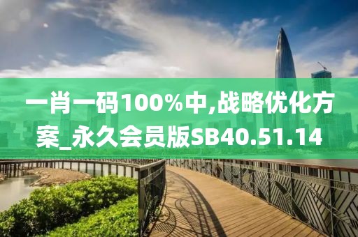 一肖一码100%中,战略优化方案_永久会员版SB40.51.14
