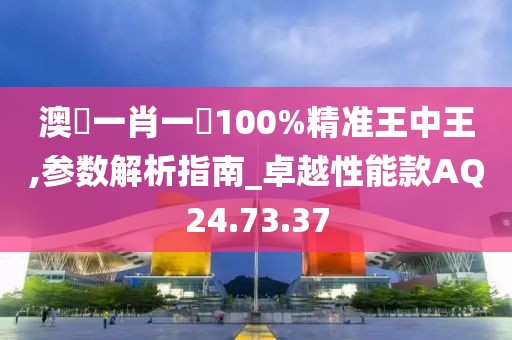 澳門一肖一碼100%精准王中王,参数解析指南_卓越性能款AQ24.73.37