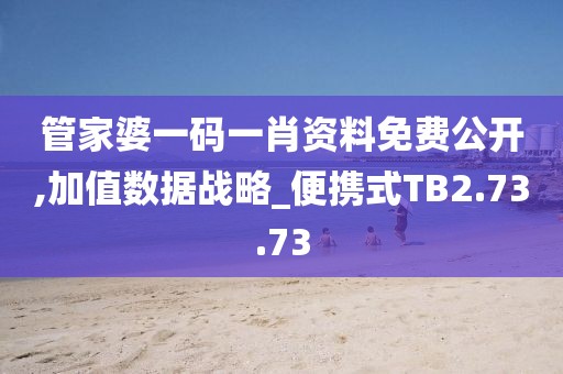 管家婆一码一肖资料免费公开,加值数据战略_便携式TB2.73.73