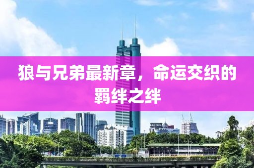 狼与兄弟最新章，命运交织的羁绊之绊