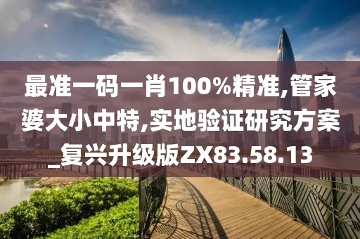 最准一码一肖100%精准,管家婆大小中特,实地验证研究方案_复兴升级版ZX83.58.13