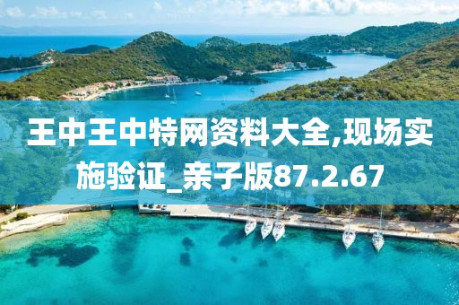 王中王中特网资料大全,现场实施验证_亲子版87.2.67