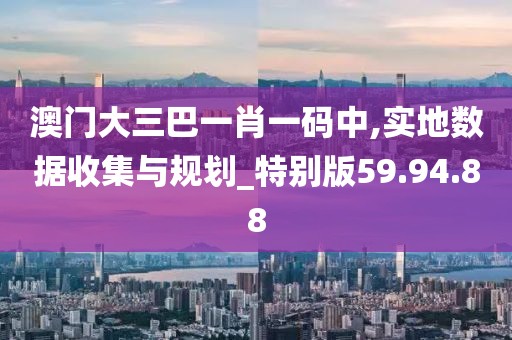 帕嘉音 第27页
