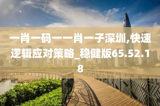 一肖一码一一肖一子深圳,快速逻辑应对策略_稳健版65.52.18