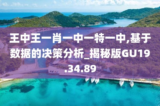 王中王一肖一中一特一中,基于数据的决策分析_揭秘版GU19.34.89