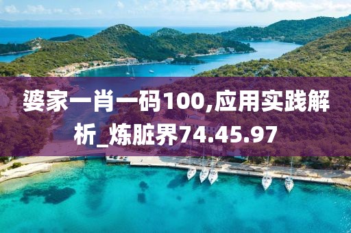 婆家一肖一码100,应用实践解析_炼脏界74.45.97