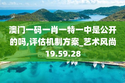 澳门一码一肖一特一中是公开的吗,评估机制方案_艺术风尚19.59.28