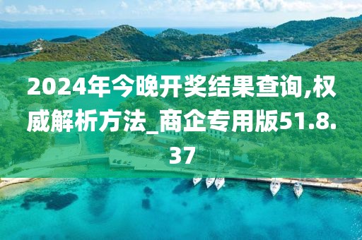 2024年今晚开奖结果查询,权威解析方法_商企专用版51.8.37