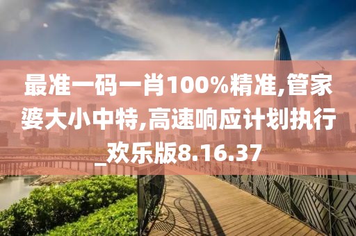 最准一码一肖100%精准,管家婆大小中特,高速响应计划执行_欢乐版8.16.37