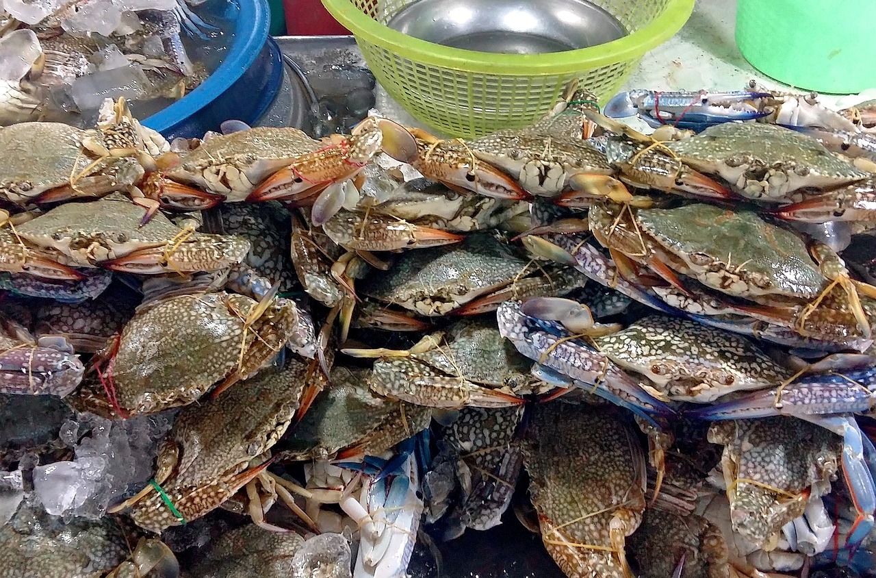 三亚最新夜市，美食、文化与夜生活的绝佳交汇点