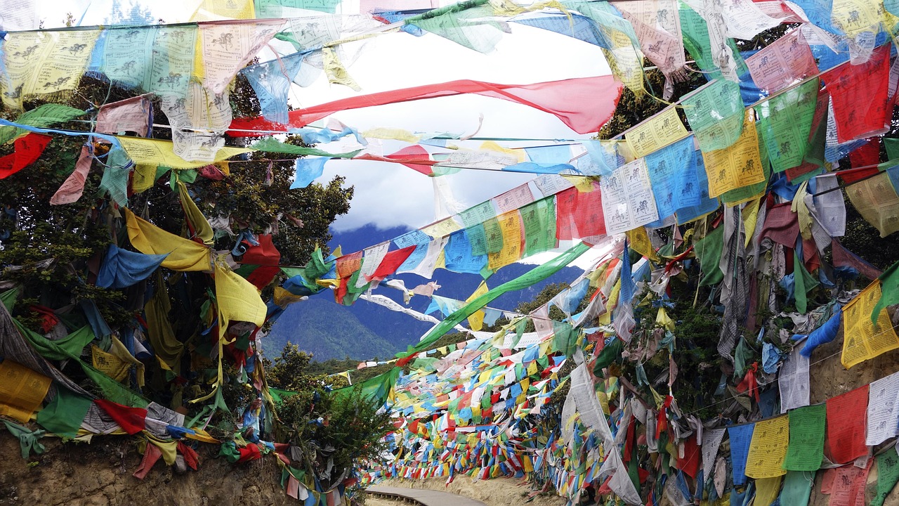 探索西藏旅游发展与变化的最新消息动态