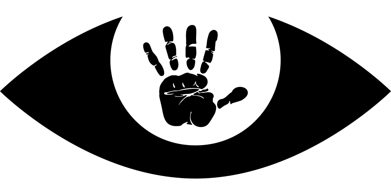新西兰最新消息概览，最新动态与资讯速递