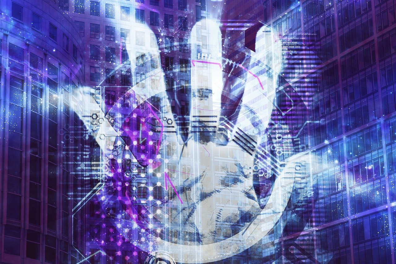 紫牛引领行业变革，开启全新篇章，最新消息速递