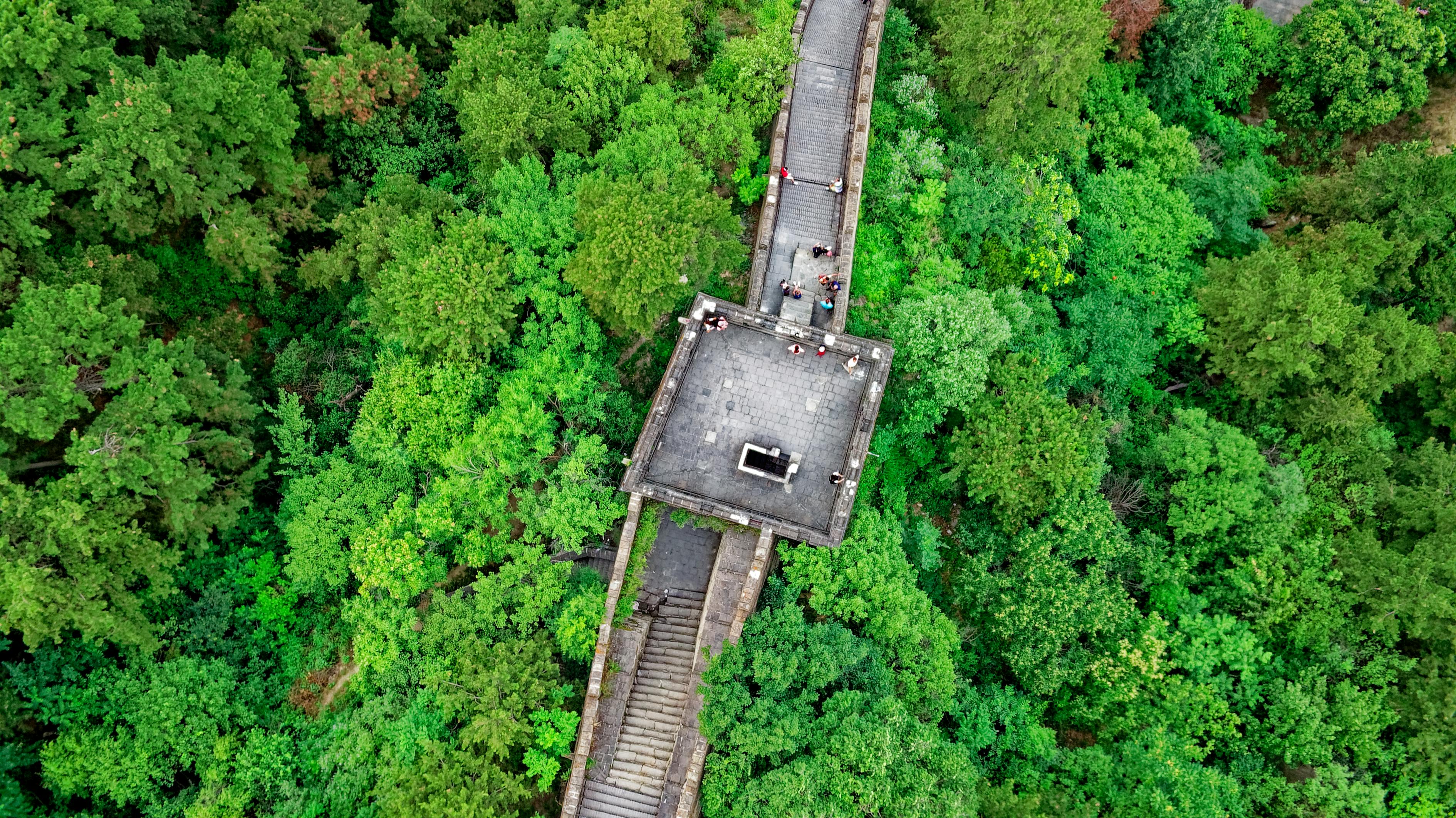 探索与发现，最新墙裂地址揭秘