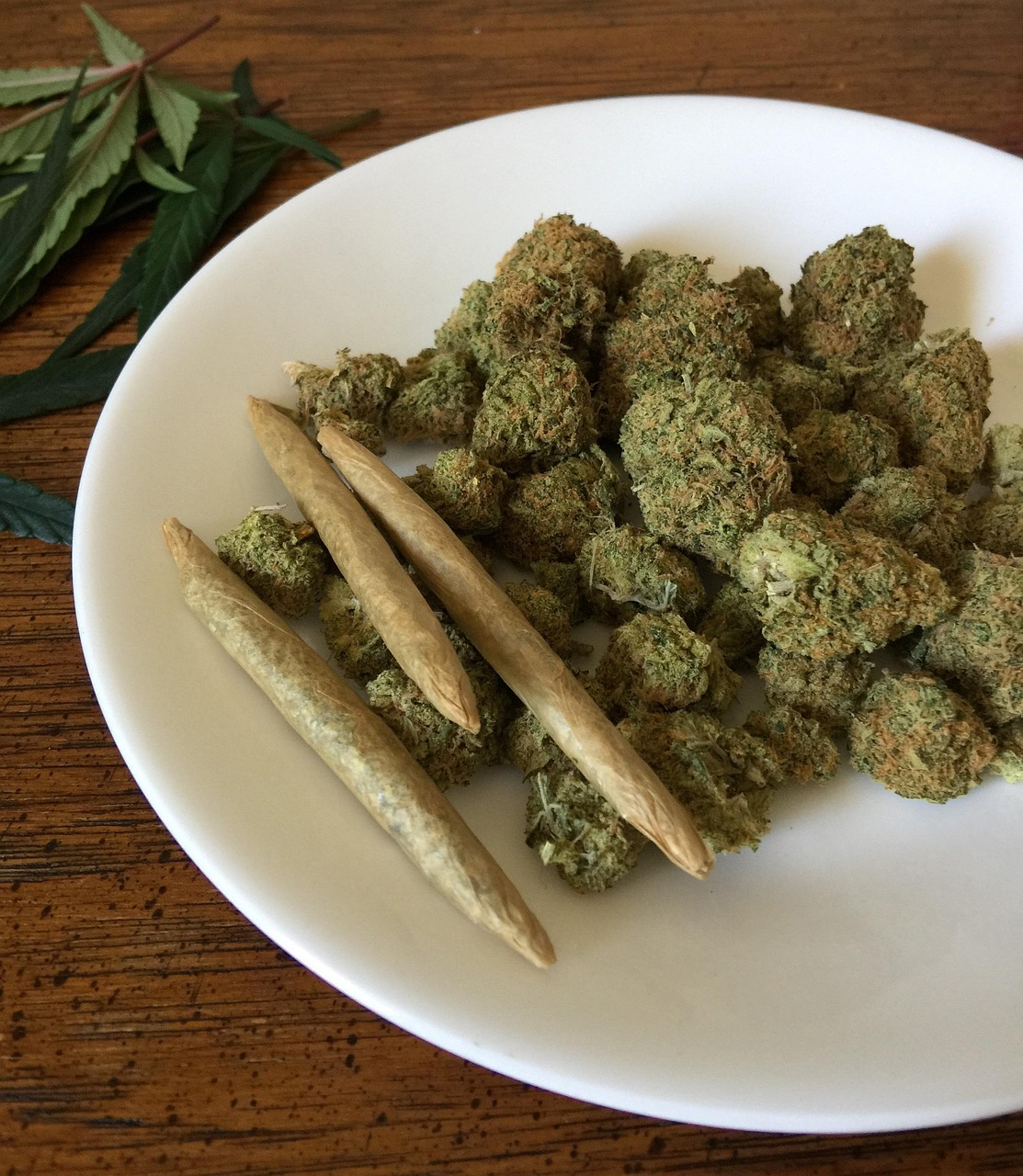 诺贝尔 第5页