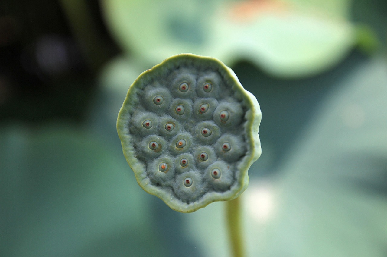 四月sis001更新地址，最新资讯与动态全面更新