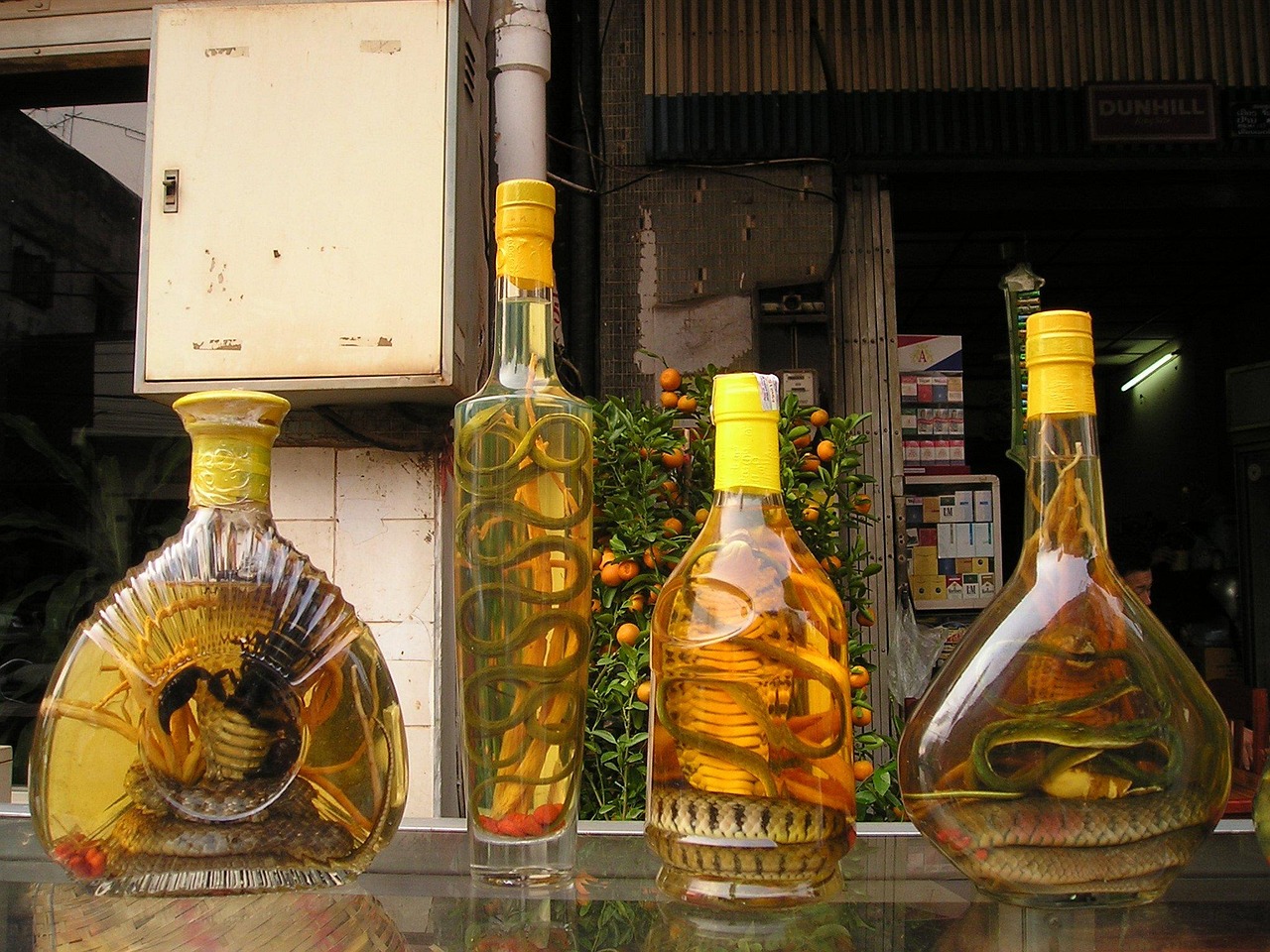 五月世纪金徽酒全新价格表概览