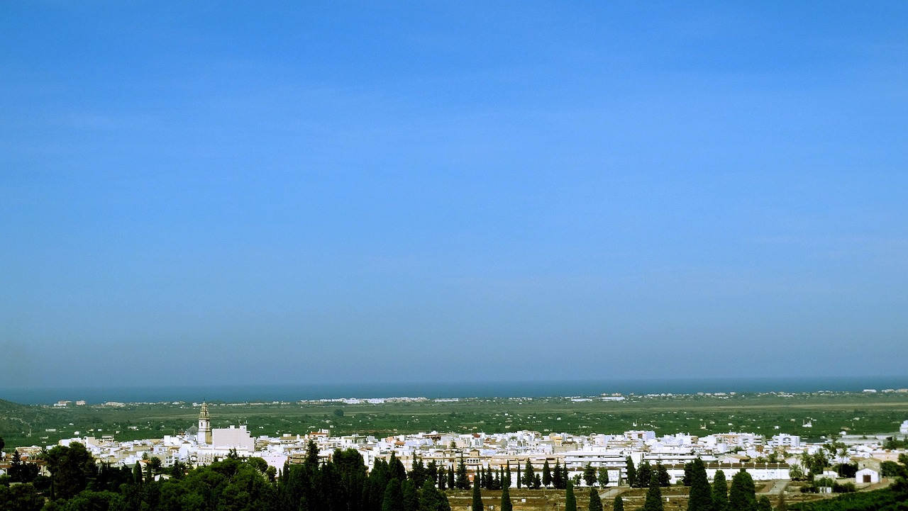 以色列五月劳务市场动态更新，最新消息与市场概览