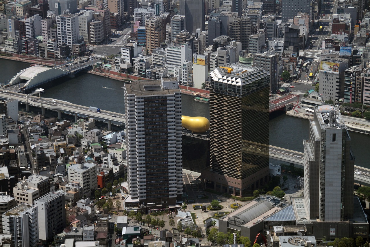 天长市规建局最新规划揭晓，塑造未来城市新面貌